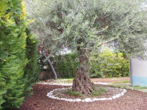 Chalet Sa Marina, Port D'alcudia